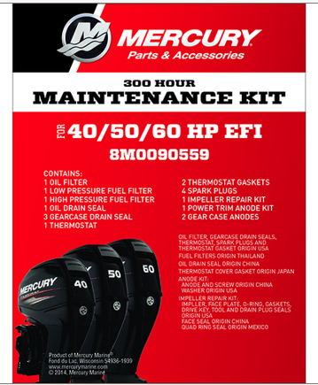 300 Hour Service Kit - 40‑60 EFI 4Cyl. 4 Stroke BigFoot / CT